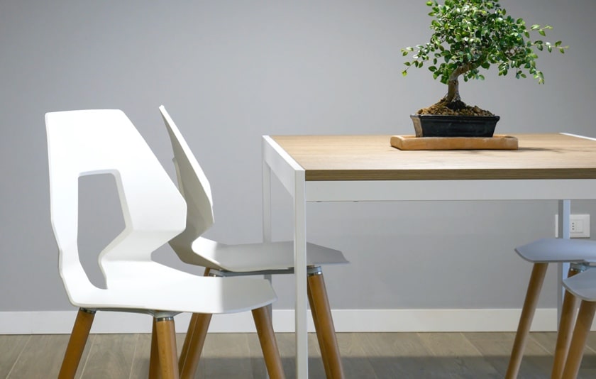 white chair with a plant on the table